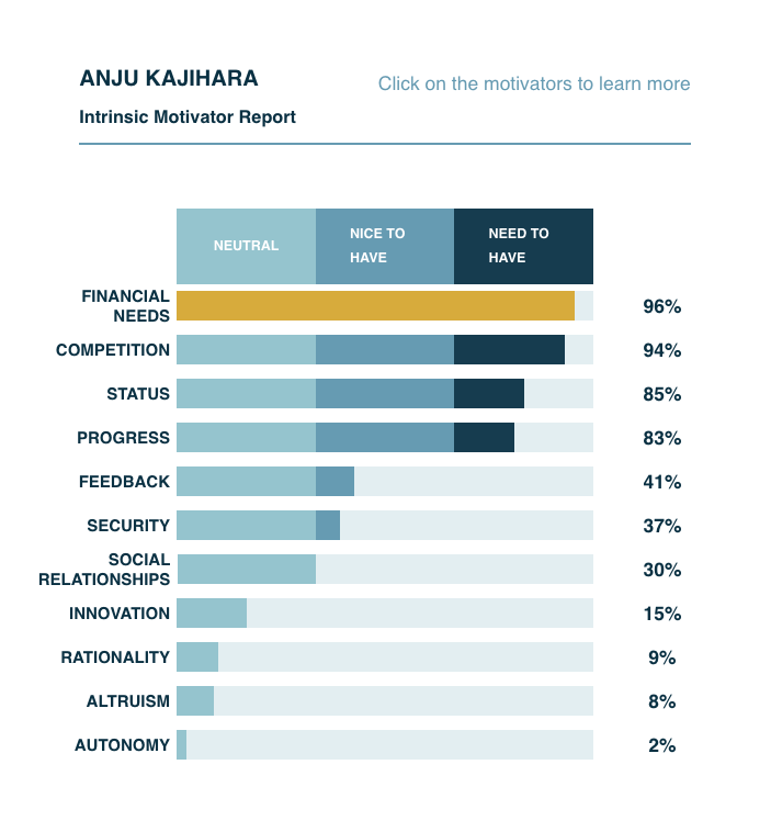 Anju+Motivator+Report.png