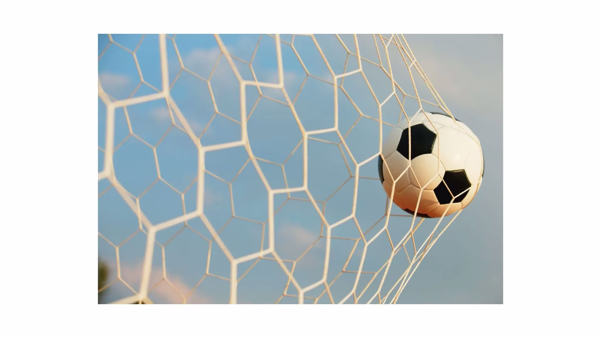 名称未設定のデザイン (37).webp